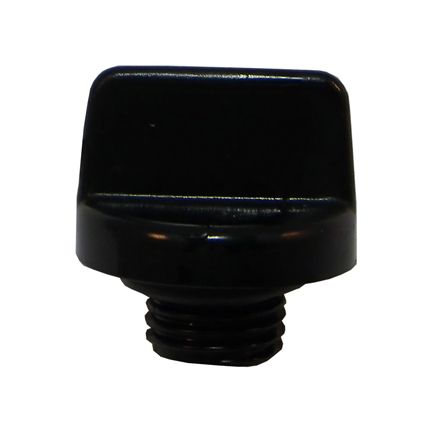 Sta-Rite Drain Plug (2pk) 0.25in 5P2R 5P6R 5MPR